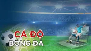 Khám Phá Cá Cược Bóng Đá WIN55 Hấp Dẫn Và Uy Tín Hàng Đầu
