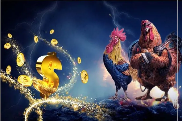 Cách Chơi Đá Gà WS168 Tại WIN55 Dễ Thắng Cho Mọi Kê Thủ