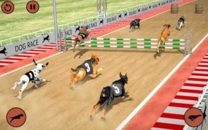 Cách Chơi Game Nhanh Đua Chó Tại WIN55 Để Thắng Lớn Siêu Dễ