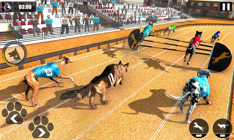 Cách Chơi Game Nhanh Đua Chó Tại WIN55 Để Thắng Lớn Siêu Dễ