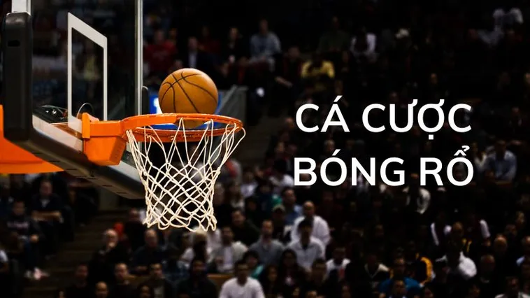 Tham Gia Cá Cược Bóng Rổ WIN55 Đỉnh Cao Giải Trí Thể Thao